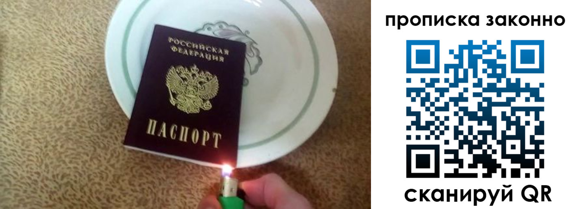 прописка поиск в Киришах